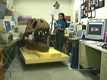 Celeste Horner laser scanning a T-rex skull at the Museum of the Rockies